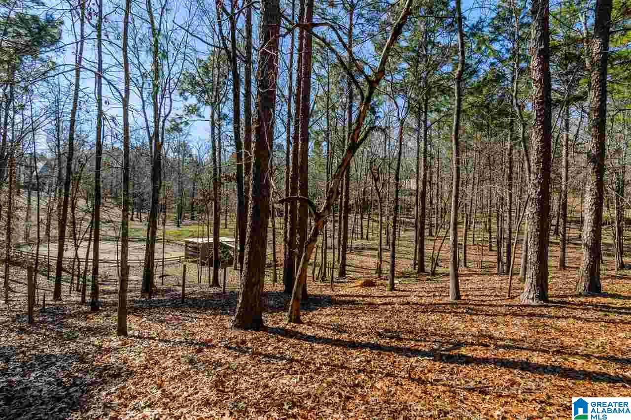 3215 Mountain Ridge Circle, Unit 4 2 Birmingham, AL 35242 - Photo 8 of 18