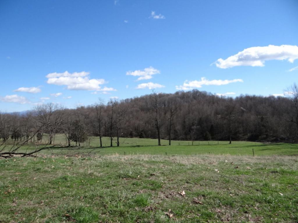 36452 Northridge Road Meadowview, VA 24361 - Photo 15 of 36 Photo 15