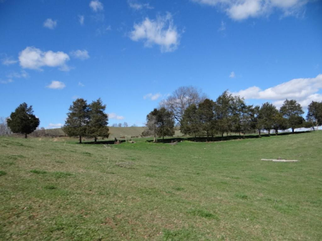 36452 Northridge Road Meadowview, VA 24361 - Photo 18 of 36 Photo 18