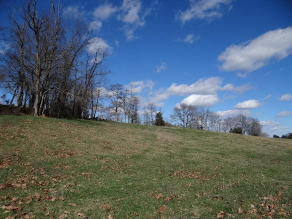 36452 Northridge Road Meadowview, VA 24361 - Photo 23 of 36 Photo 23