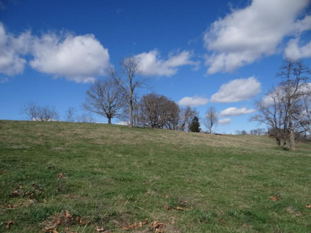 36452 Northridge Road Meadowview, VA 24361 - Photo 27 of 36 Photo 27
