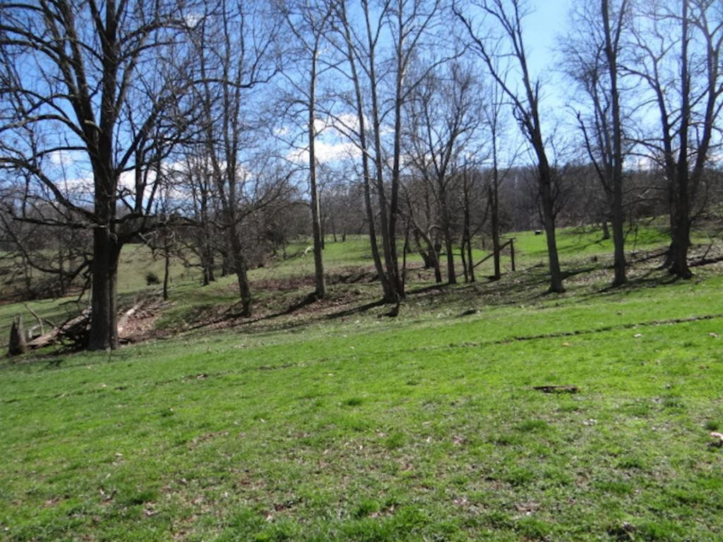 36452 Northridge Road Meadowview, VA 24361 - Photo 29 of 36 Photo 29