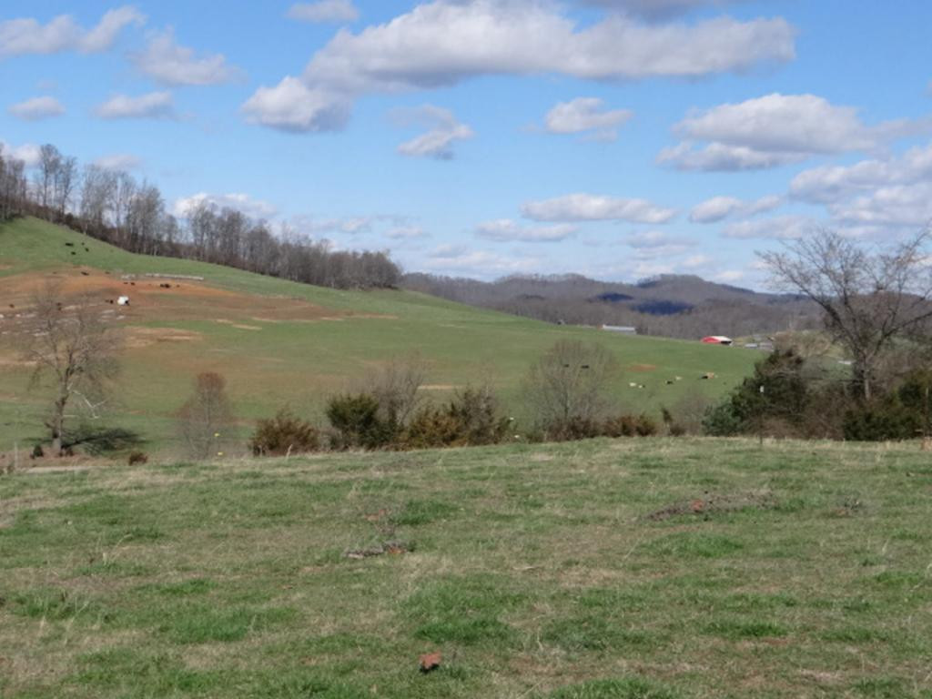 36452 Northridge Road Meadowview, VA 24361 - Photo 34 of 36 Photo 34