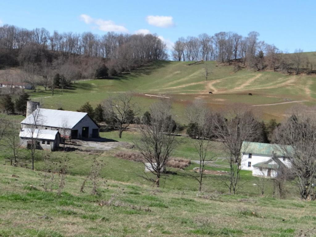 36452 Northridge Road Meadowview, VA 24361 - Photo 10 of 36 Photo 10