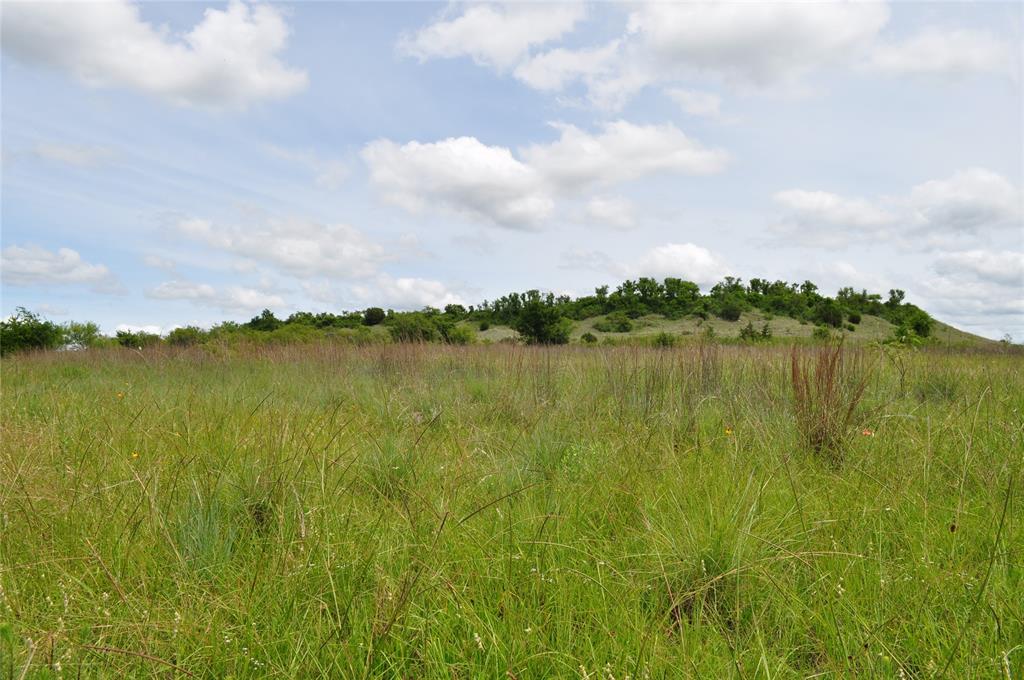 1849 2 Bush Road Perrin, TX 76486 - Photo 24 of 40