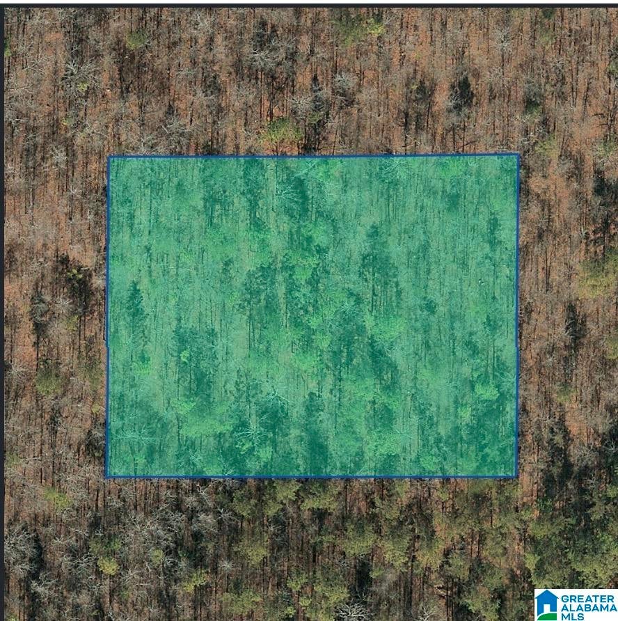 0 Jones Road, Unit 1 Alpine, AL 35014 - Photo 1 of 1 Gallery Image 1