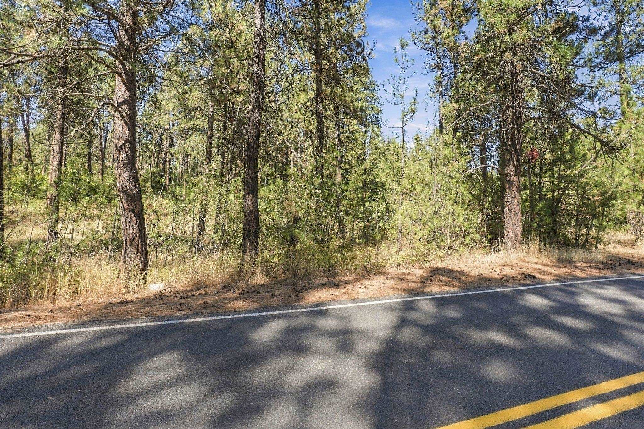 Xxx West Thorpe Road Spokane, WA 99224 - Photo 1 of 15 Gallery Image 1