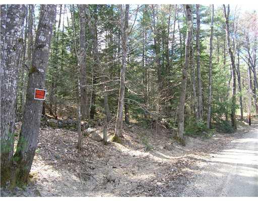 4 Benson Road Parsonsfield, ME 04047 - Photo 3 of 3 Land.