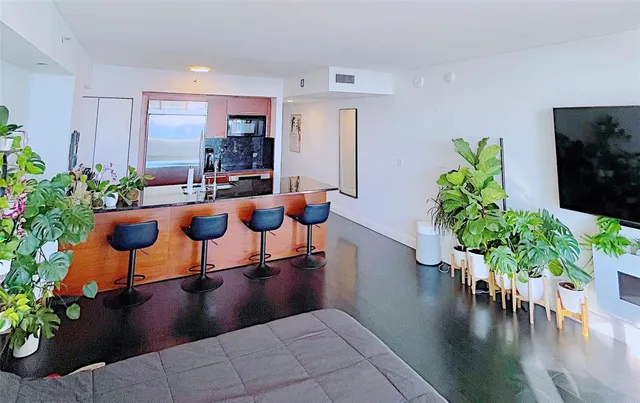 a room with furniture potted plant and wooden floor