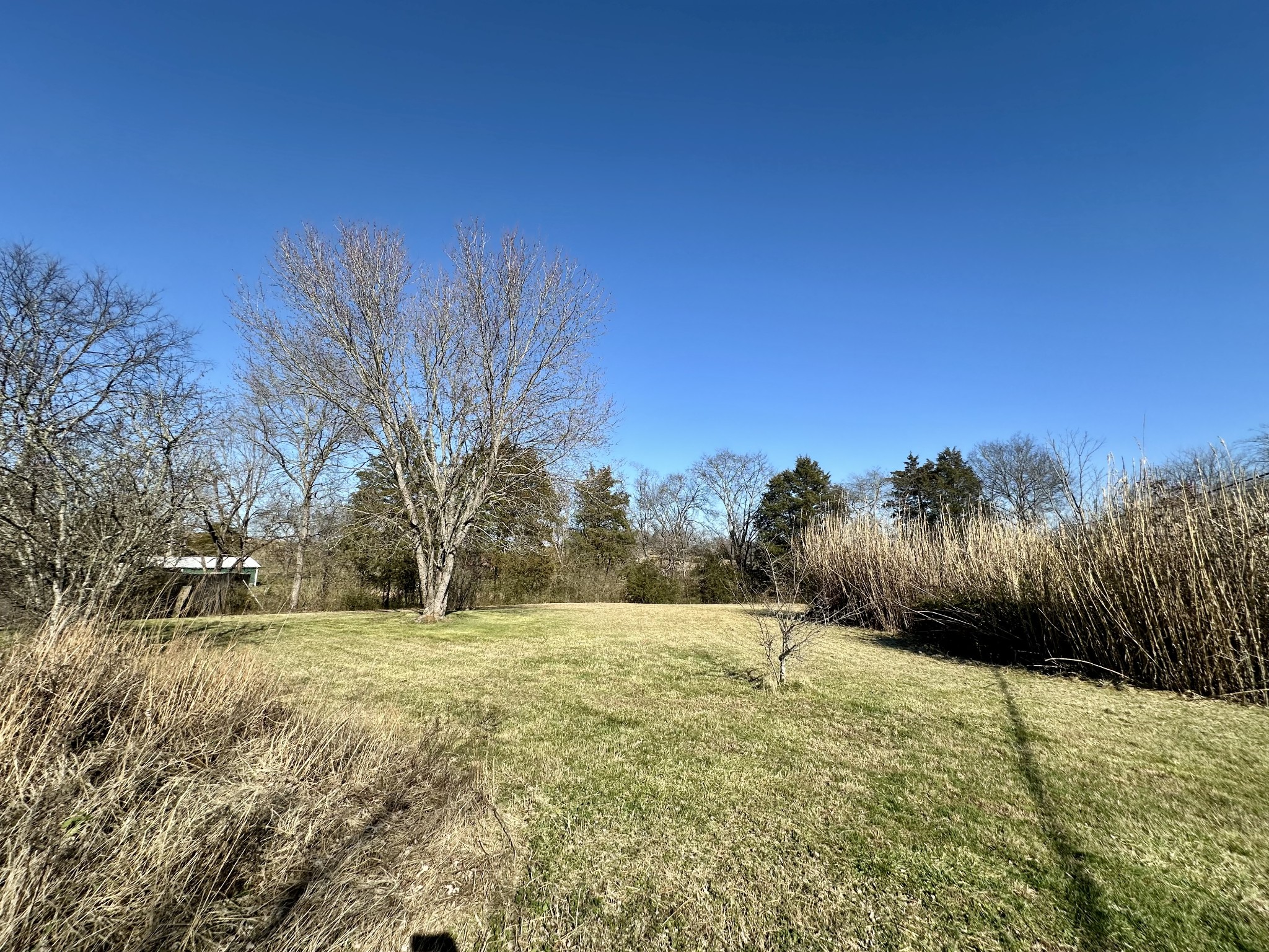 125 Tramel Branch Road Alexandria, TN 37012 - Photo 3 of 21