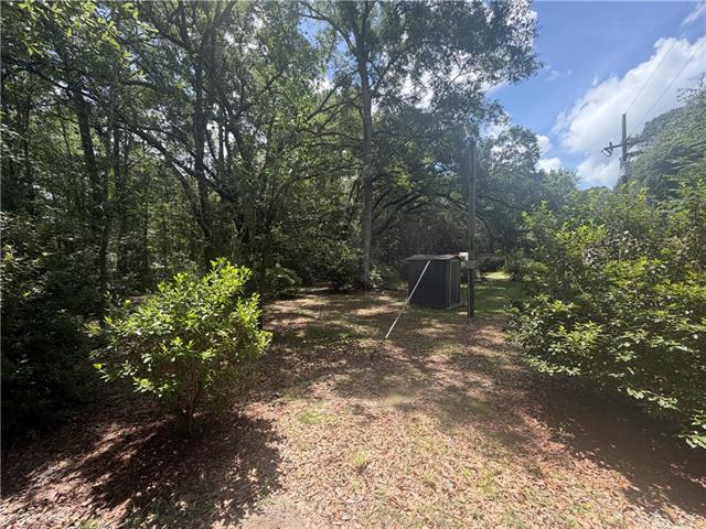 37196 West Powerline Road Pearl River, LA 70452 - Photo 3 of 7