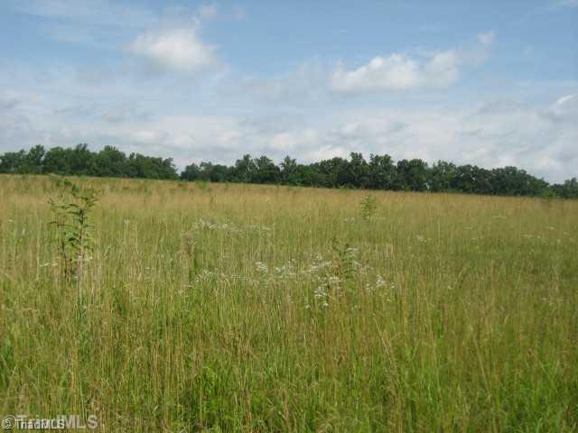 229 Bailey Road Advance, NC 27006 - Photo 14 of 16 Land/Lot.