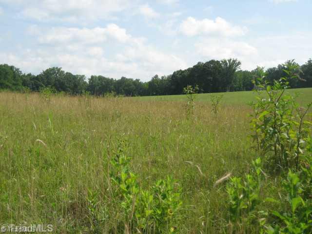 229 Bailey Road Advance, NC 27006 - Photo 8 of 16 Land/Lot.