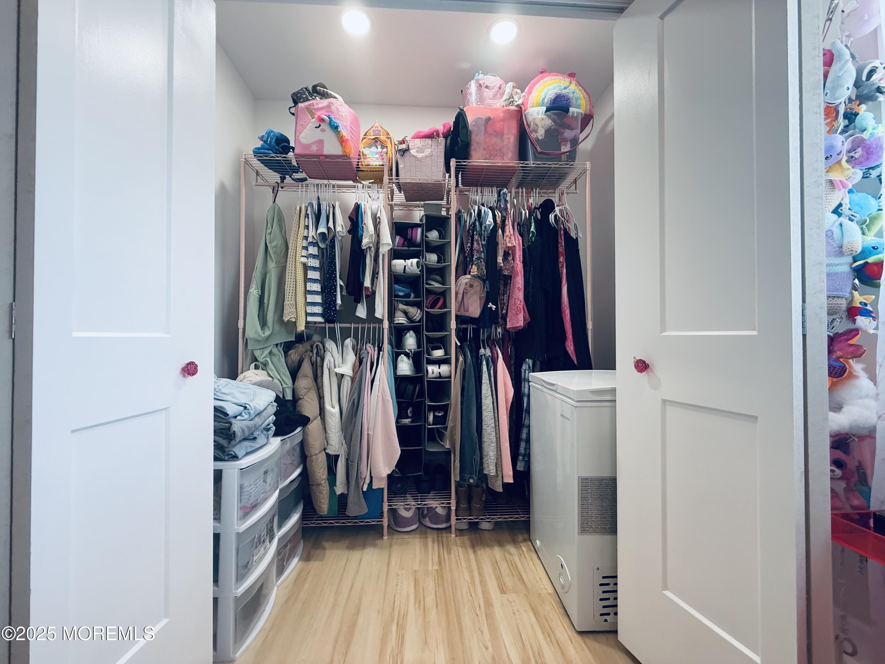 20 Long Road Freehold, NJ 07728 - Photo 14 of 20 a view of a closet area