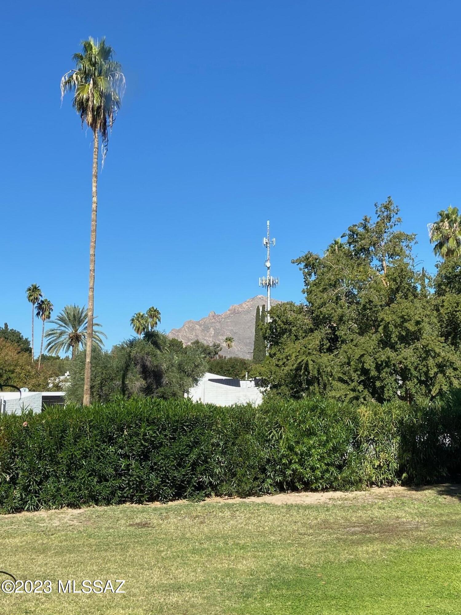 636 West Roller Coaster Road Tucson, AZ 85704 - Photo 37 of 41