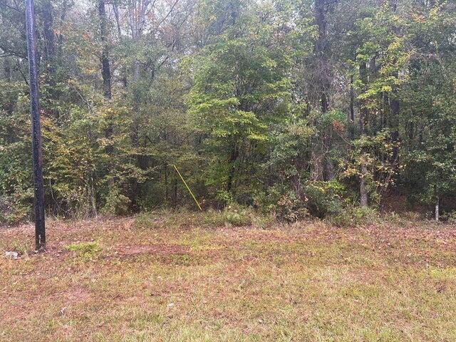Jarrell Loop Evans, LA 70639 - Photo 1 of 1 Gallery Image 1