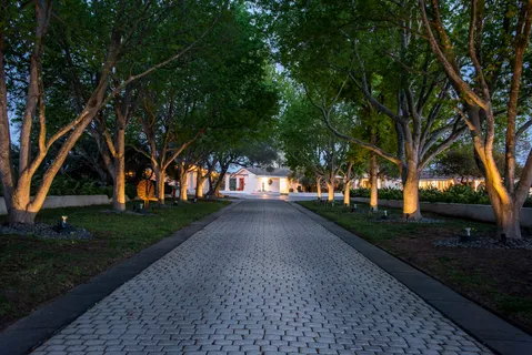 a view of road with trees