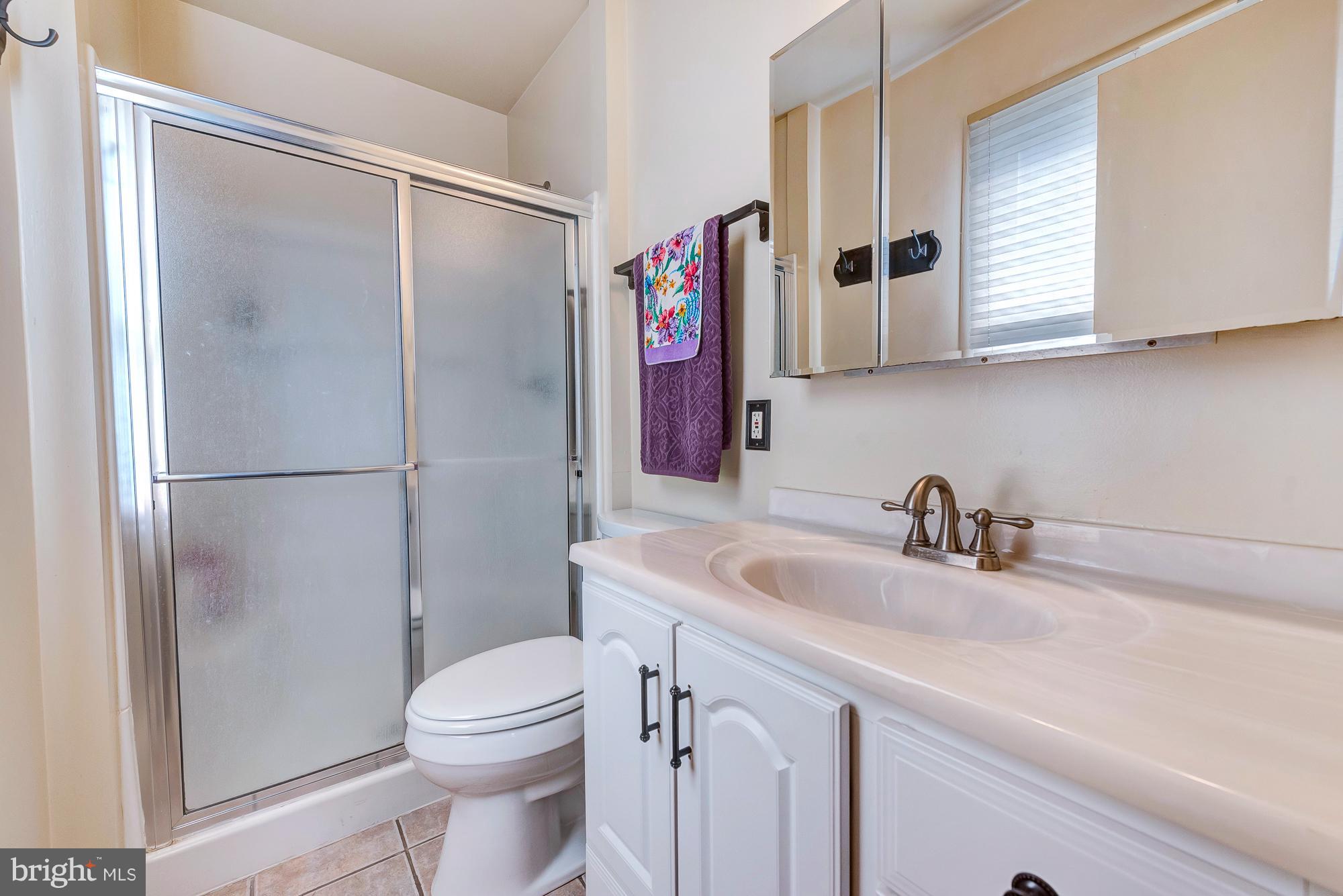 17310 Fletchall Road Poolesville, MD 20837 - Photo 24 of 30 Bath (Master)