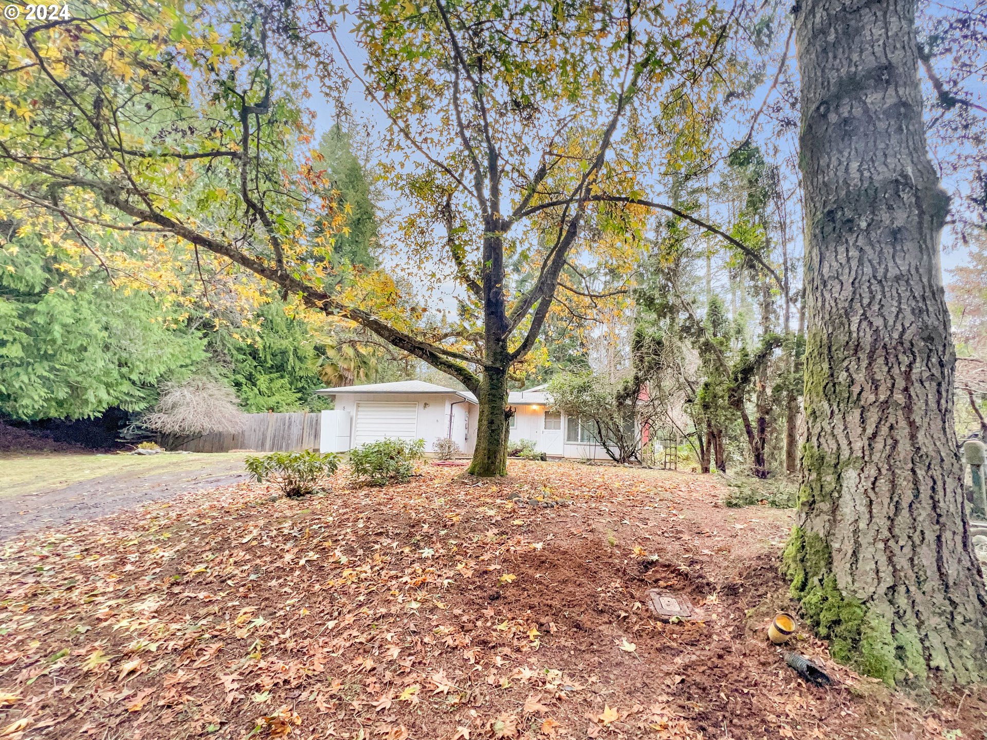 57205 Gladewood Road Coquille, OR 97423 - Photo 3 of 27 Gallery Image 3