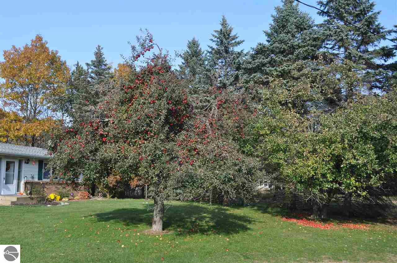 6811 Riverside Drive Mount Pleasant, MI 48858 - Photo 34 of 35 1777930-33.JPG