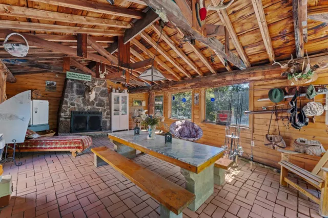 a view of a park with large trees