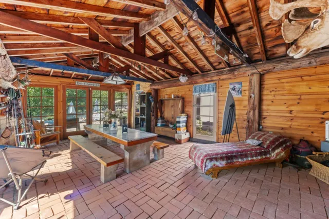 a view of a yard with plants and large trees