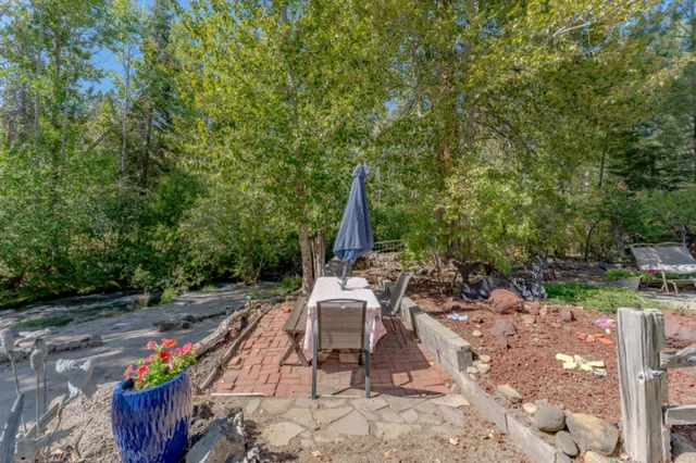 a view of a yard with plants and trees in the background