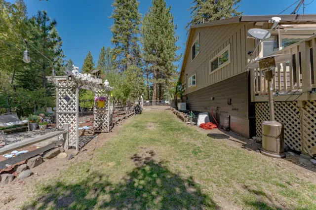 a view of a forest with trees