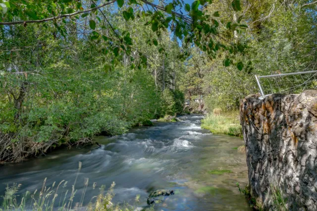 an aerial view of a house with a yard and garden