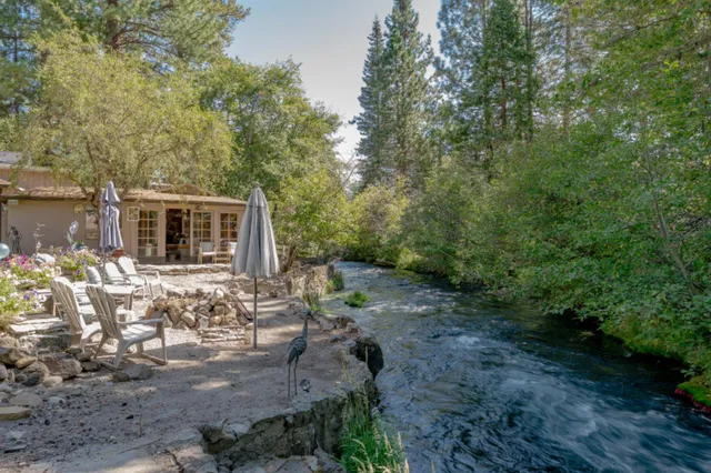 a view of a city with lush green forest