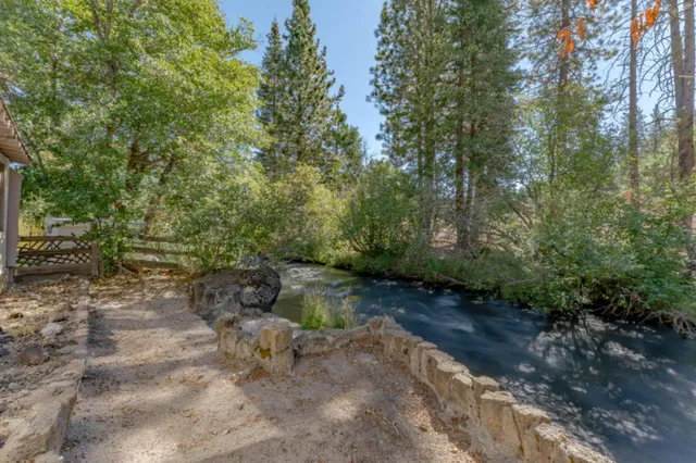 a view of a lush green forest with a mountain