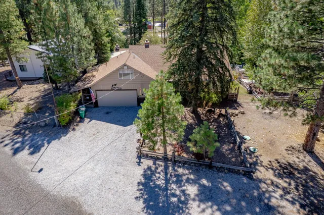 a view of a backyard with plants and trees