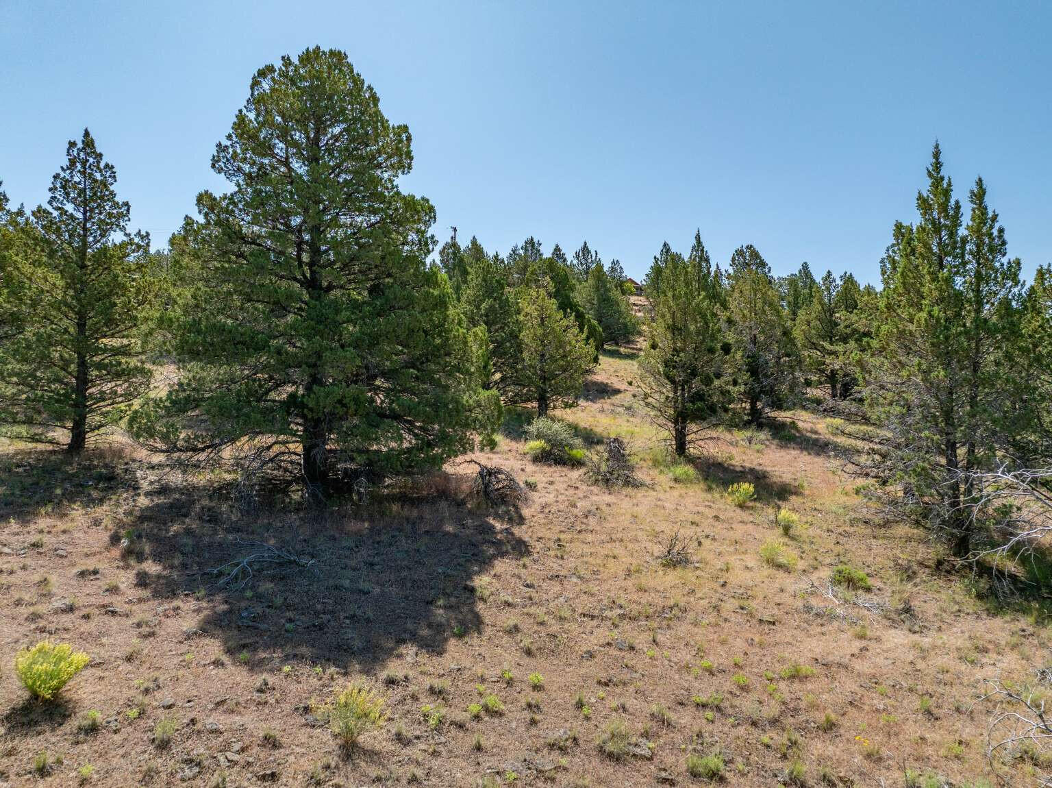 1167 Grande Road Alturas, CA 96101 - Photo 4 of 19 Dingman.4