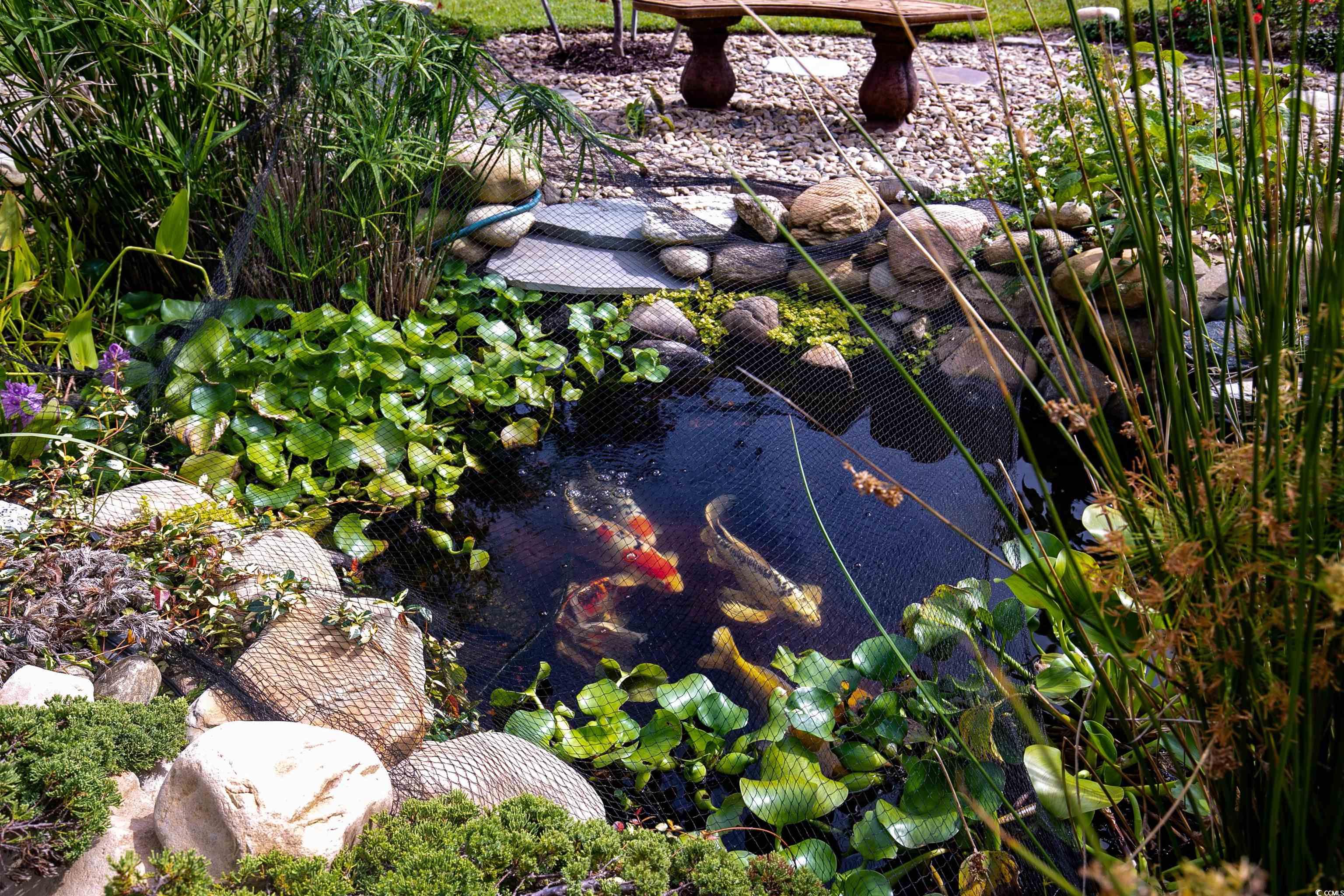 925 Abernathy Place Surfside Beach, SC 29575 - Photo 24 of 40 Exterior view of a small pond