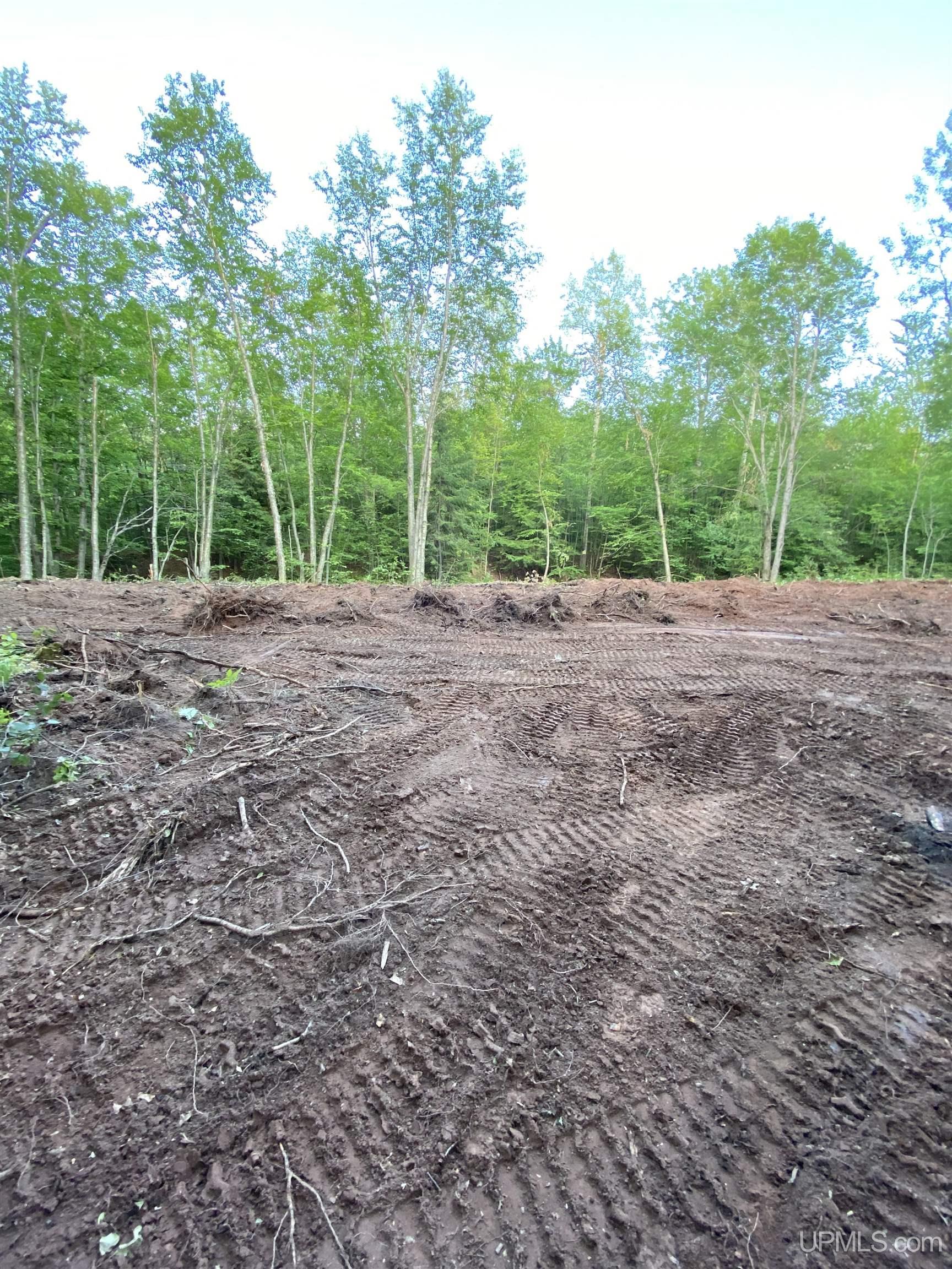 Tbd Tbd Kingfisher Road Ontonagon, MI 49953 - Photo 6 of 6