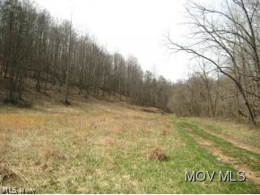 0 Rose Hill Road Elizabeth, WV 26143 - Photo 8 of 9
