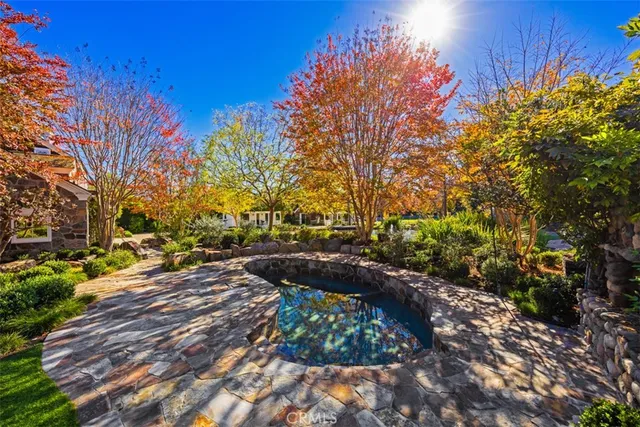 a view of backyard with tree