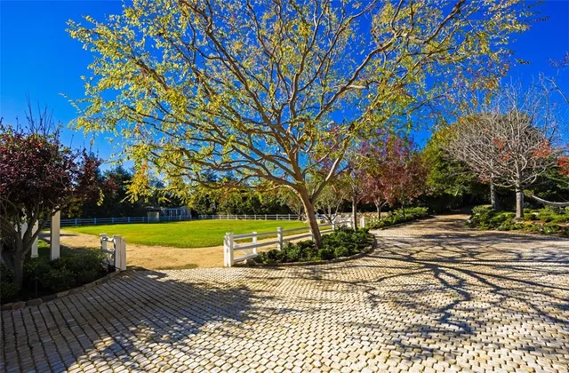 a view of an outdoor space and a yard