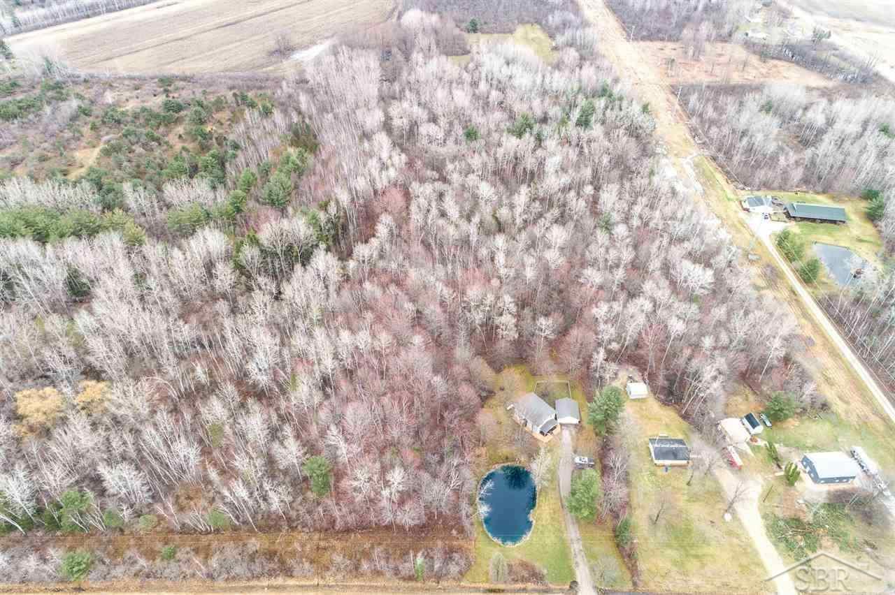 4100 North Geneva Road Coleman, MI 48618 - Photo 52 of 77