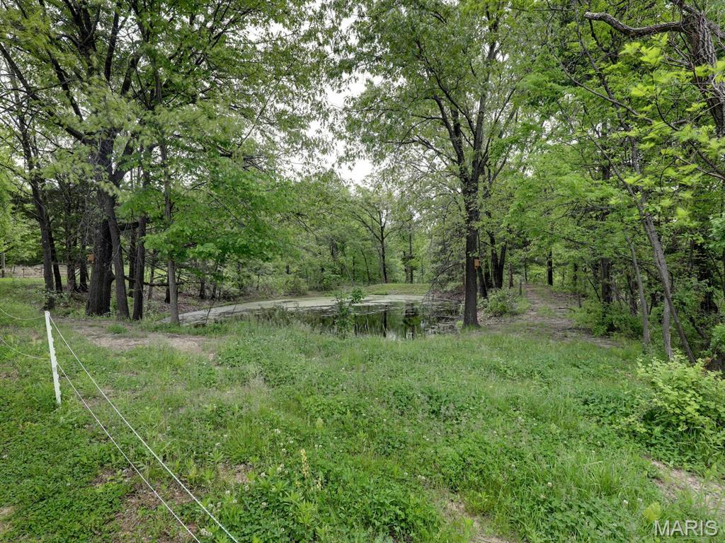 12746 Thorn Berry Road New London, MO 63459 - Photo 26 of 49