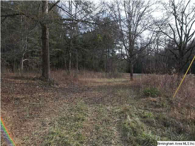 Turkey Pen Road, Unit 1 Cragford, AL 36255 - Photo 2 of 6
