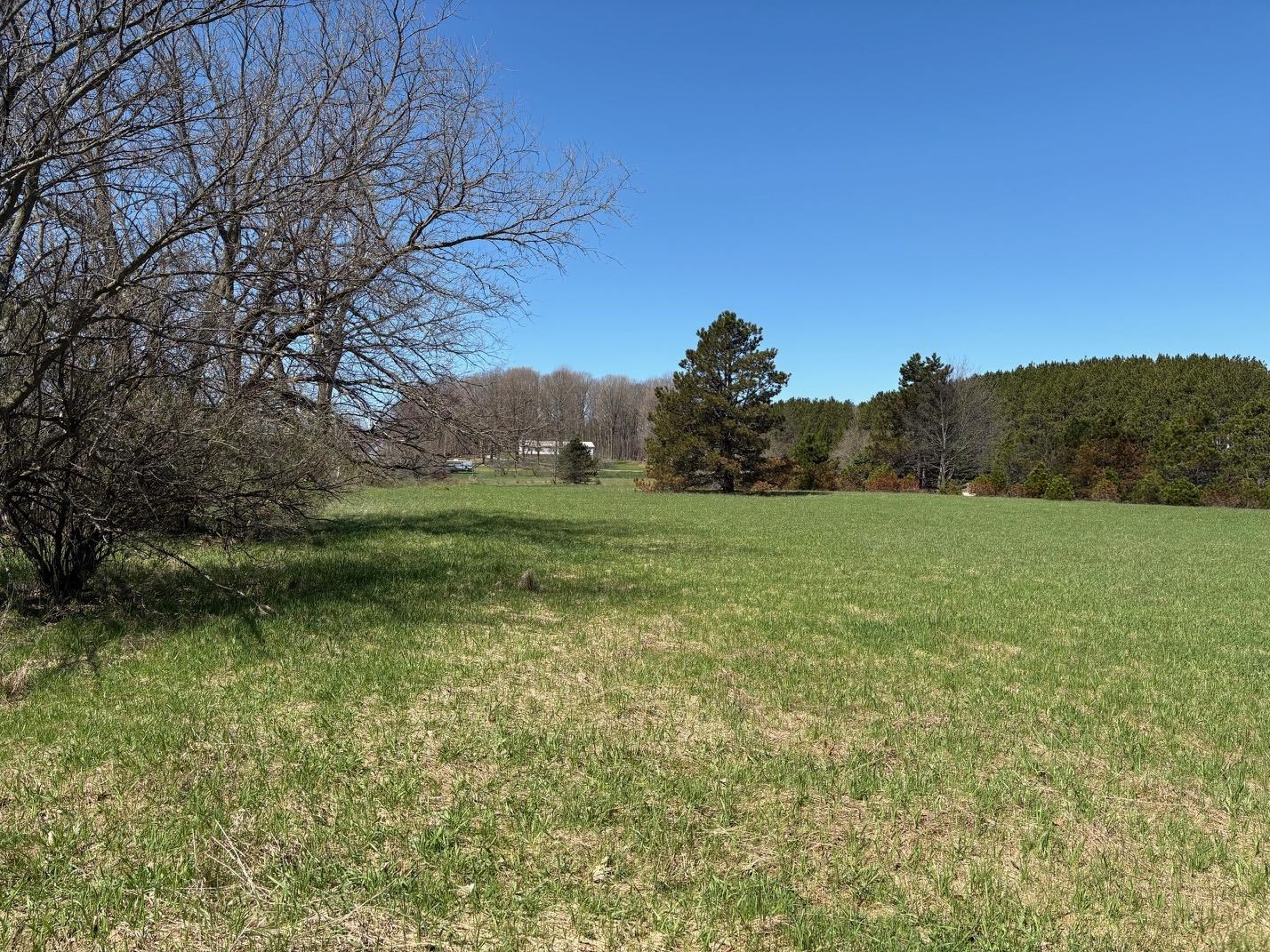 V/l Spruce Ridge Bear Lake, MI 49614 - Photo 10 of 17