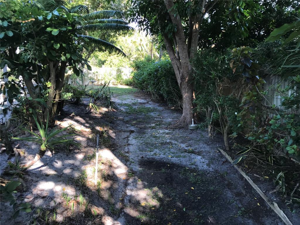 7806 17th Avenue Northwest Bradenton, FL 34209 - Photo 30 of 33 a view of a forest with trees