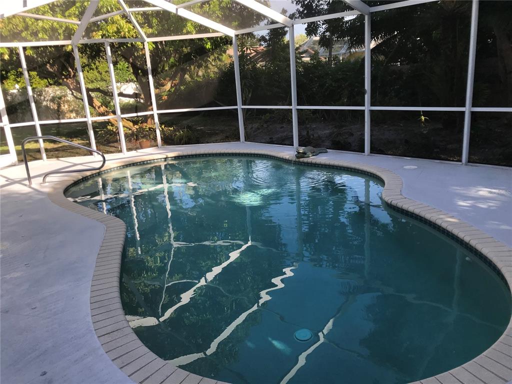 7806 17th Avenue Northwest Bradenton, FL 34209 - Photo 4 of 33 a view of a swimming pool