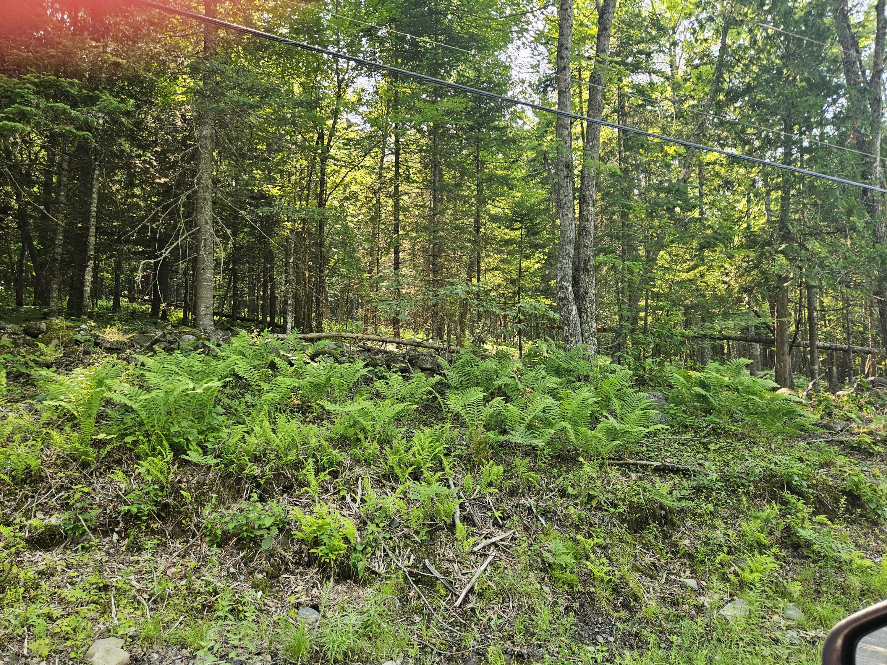 Lot 2 Rips Road Brownville, ME 04414 - Photo 3 of 3 1000016329