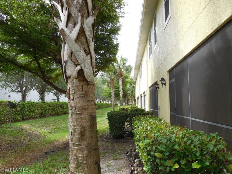 4381 Lazio Way, Unit 501 Fort Myers, FL 33901 - Photo 20 of 25 a view of a back yard