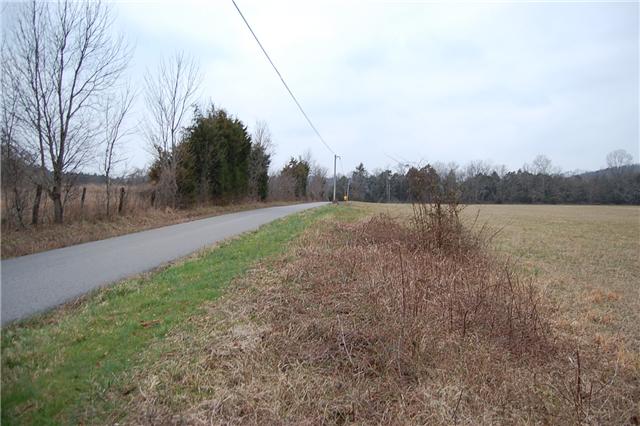 12 Dillon Road Lascassas, TN 37085 - Photo 4 of 16