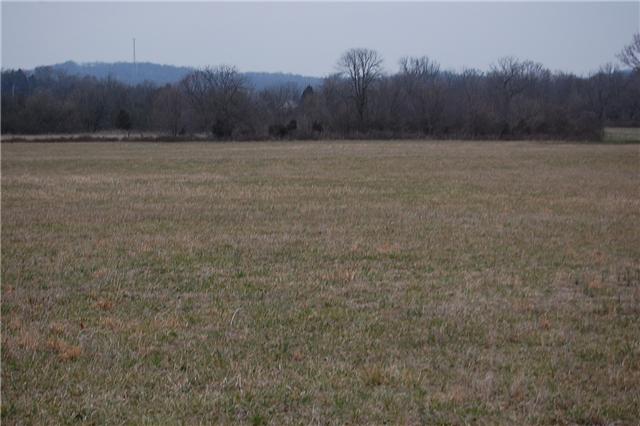12 Dillon Road Lascassas, TN 37085 - Photo 6 of 16