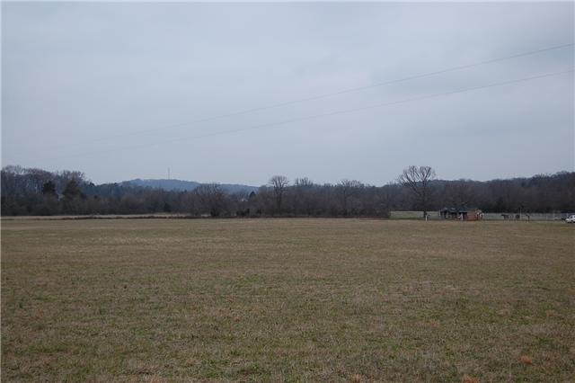 12 Dillon Road Lascassas, TN 37085 - Photo 7 of 16