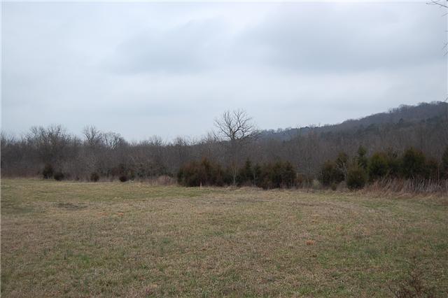 12 Dillon Road Lascassas, TN 37085 - Photo 8 of 16